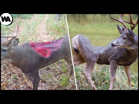 Готов Поспорить, Ты Не Знал Этого #6