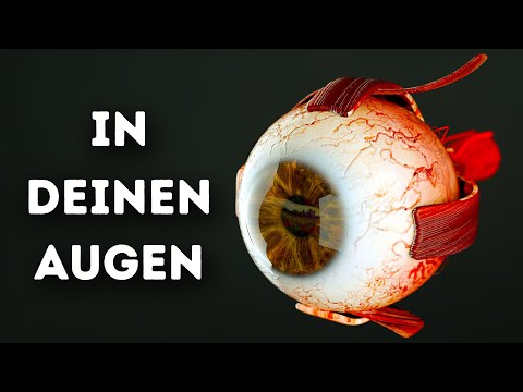 Was passiert in deinen Augen