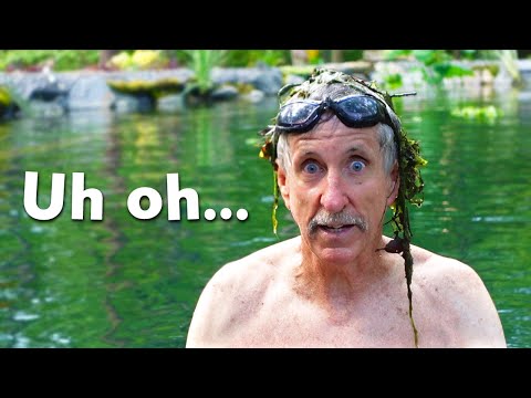 We have a problem with our Natural Swimming Pool...