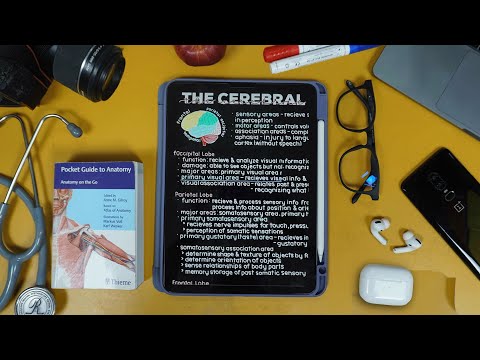 Tech I Use Everyday in College - Med Student Edition | Anuj Pachhel