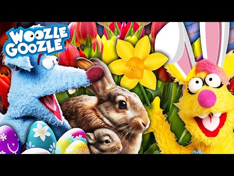Die besten Folgen zu Ostern 🐰🌷 l WOOZLE GOOZLE