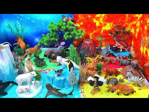Explore 4 Animal Worlds! ❄🌳🔥🏜️| Ice, Forest, Volcano & Desert Adventure