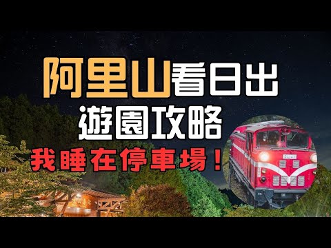【阿里山國家森林遊樂區全攻略】山上避暑+車泊體驗＋小火車購票秘訣＋便宜門票省錢法
