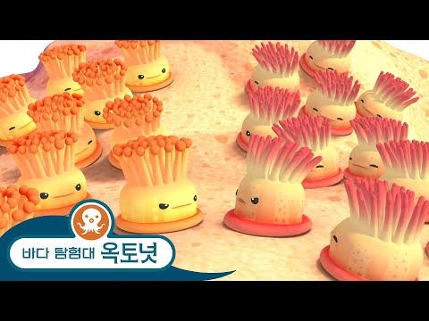 바다 탐험대 옥토넛 - 적 말미잘 & 재빠른 돛새치 - 모음집