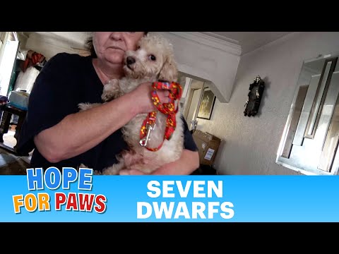 Their owner died unexpectedly, and their future was unknown. 😨