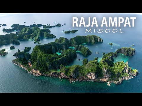 My Favourite Place on Earth | Indonesia’s Underwater Eden | Raja Ampat, Misool