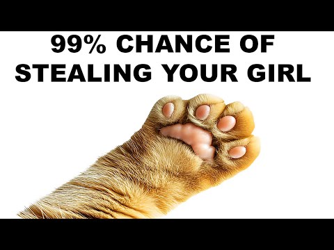 memes that made me smile