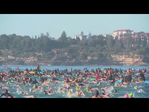Bondi Beach back open after 15 people were killed at Hanukkah celebration