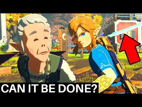 Can You Kill Invincible NPC's in Breath of the Wild?