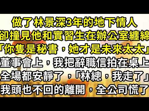做了林景深3年的地下情人，昨晚撞見他和實習生在辦公室纏綿，他態度敷衍｢你隻是秘書，她才是未來太太｣。董事會上，我把辭職信拍在桌上，全場都安靜了，｢林總，我走了｣，我頭也不回的離開，他慌了，全公司都慌了
