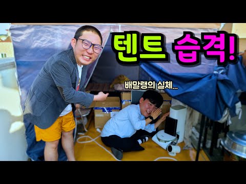 텐트습격!! 배말랭의 이중생활...!