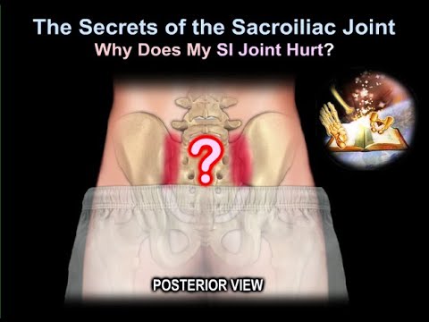 sacroiliac Joint  pain why it Hurts - Everything You Need To Know - Dr. Nabil Ebraheim