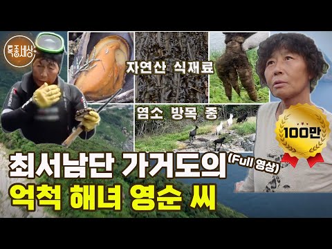 [특종세상] 최서남단 가거도의 억척 해녀 영순 씨 [Full영상]