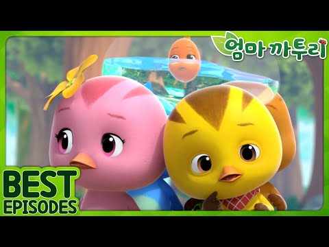 [엄마까투리 Best] 끝없는 물난리 | 엄마 까투리 | 까투리 | Katuri | 베스트 에피소드 모음 제A7화