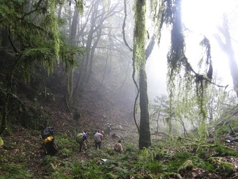【LiMA新聞世界 第129集】大分 伊斯利段 回家