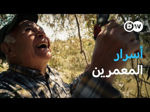وثائقي | أسرار معمري سردينيا | وثائقية دي دبليو