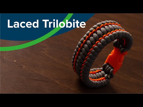 Laced Trilobite Paracord Bracelet—No Fid Needed