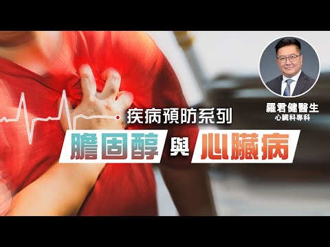 疾病預防系列  | 膽固醇與心臟病 - 心臟科專科羅君健醫生
