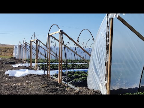 Монтаж парников (балаганов) для клубники 🍓🍓🍓🍓
