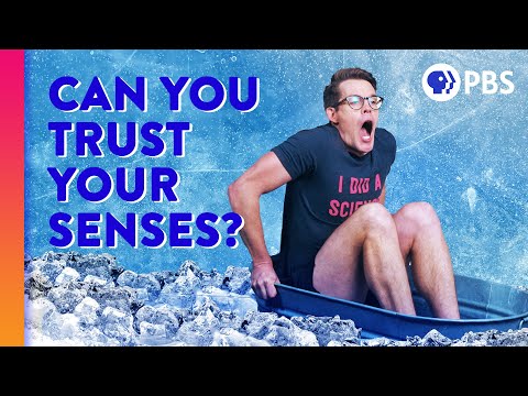 Why You Can’t Smell Yourself (and Other Ways Your Senses Lie to You)