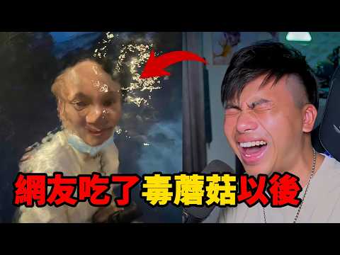 「梗文梗圖系列45集」三度笑得最累的一集，網友分享的毒蘑菇體驗太誇張！