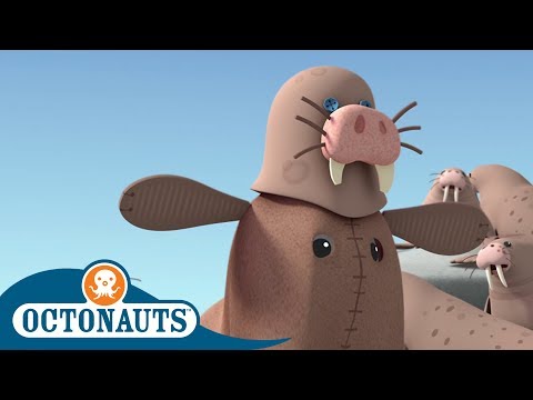 #StayHome Octonauts - The Great Walrus Disguise | Full Episodes | Cartoons for Kids