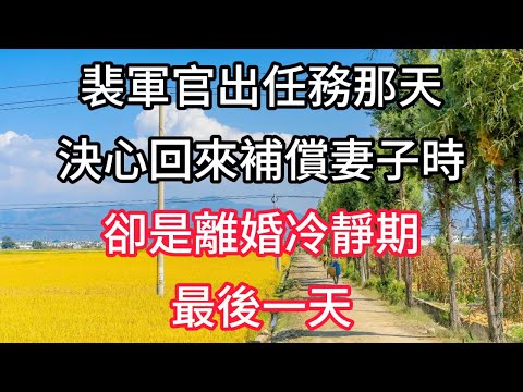 裴軍官出任務那天，決心回來補償妻子時，卻是離婚冷靜期最後一天