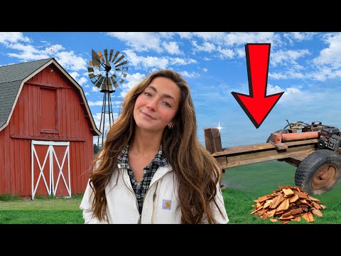 First Time Splitting Firewood With NO Experience