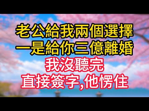 老公給我兩個選擇，一是給你三億離婚，我沒聽完，直接簽字，他愣住#完結文#一口氣看完
