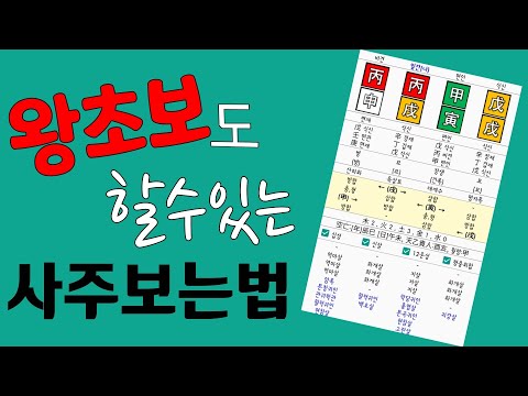 (왕초보) 내사주내가보기