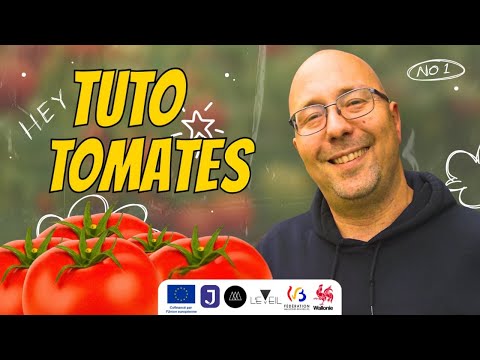 Tuto TOMATES - Comment planter et réussir vos TOMATES facilement !