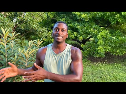 The Real Reason We’re Getting Sicker and More Obese Every Year!