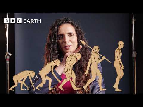 Human Evolution Myths Debunked By Paleoanthropologist | Human | BBC Earth Science
