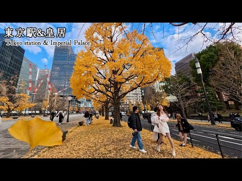 A gentle autumn walk through Tokyo Station and the Imperial Palace 4K HDR