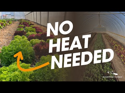 What You Can Grow in an Unheated Hoop House in the Winter