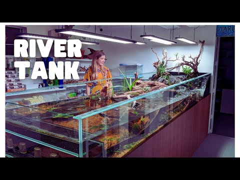 INCREDIBLE 1000L Sloped River Tank at Atlas Aquariums!