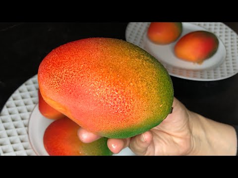 LA MANGUE EN TROMPE L’ŒIL