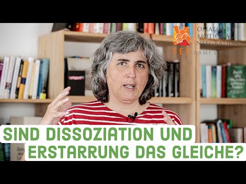 Sind Dissoziation und Erstarrung das Gleiche?