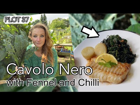 Cavolo Nero with Fennel Seeds and Chilli || Plot 37