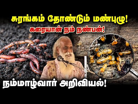 சுரங்கம் தோண்டும் மண்புழு! கரையான் நம் நண்பன்! நம்மாழ்வார் அறிவியல்!