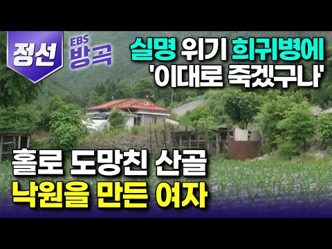 [강원 정선] 희귀병에 실명 위기까지 찾아와 가족도 친구도 뒤로하고 홀로 떠나 산골 이방인이 된 여자┃난치병도 고친 나만의 힐링처 '가리왕산'┃항골계곡┃#한국기행 #방방곡곡