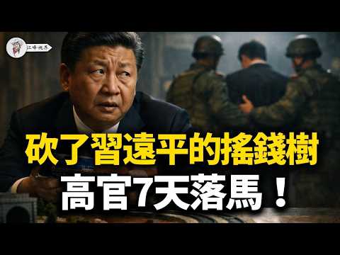 貫徹習近平「國進民退」，為啥7天內遭秒殺？副部級高官惹怒習遠平，被清洗！揭秘深圳神秘富豪張峻，長達十年的「習家錢袋子」內幕！【江峰視界20260330第344期】