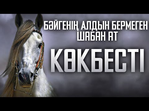 Қойшының Аты АРҒЫМАҚҚА Айналды🐎👀 - Жылқы Жайлы