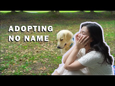 I Had 24 hours to ADOPT A DOG *Emotional*