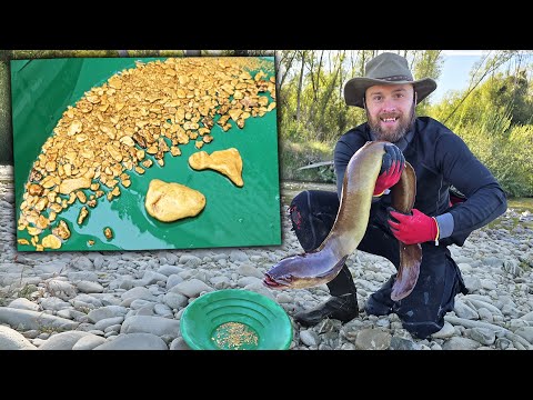Camping In New Zealand Dredging GOLD, Finding Fossils, and Catching BIG Eels!