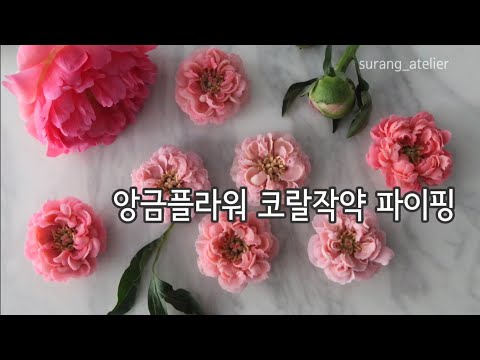 앙금플라워 코랄작약 연속 짜기 Peony piping 힐링영상