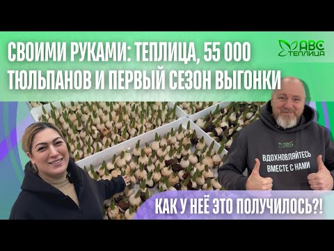 Первая теплица — и сразу 55.000 тюльпанов! Без опыта, но с огнём в глазах вошли в цветочный бизнес.