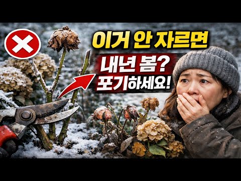 12월에 '이 5가지' 다년생 식물 안 자르면, 내년 봄 꽃은 포기하세요!
