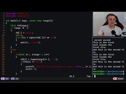 Coding cat in C from Scratch