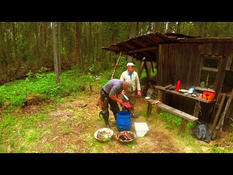 С Батей и Племяшом на Кордон.Живём Неделю в Тайге.Рыбачим на Лесных Озёрах.